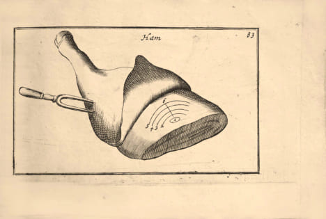 [ART DE TRANCHER.] De Cierlijcke Voorsnydinge Aller tafel-gerechten. Le premier livre enseignant à l’aristocratie hollandaise les arts de la table et ...