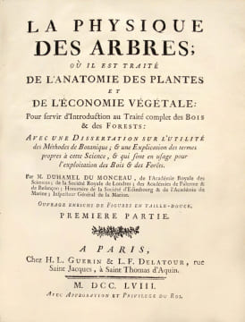 La Physique des arbres : où il est traité de l'anatomie des plantes et de l'économie végétale : Pour servir d'Introduction au Traité complet des Bois ...