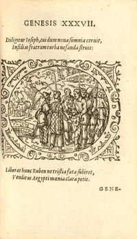 Bibliorvm vtrivsqve Testamenti icones, svmmo artificio expressae, historias sacras ad vivvm exhibentes, & oculis... vt pius Lector veré facrorum hic Emblematum thefaurum pofsit agnofcere... La première édition latine de la Bible parue en 1571 ornée de 200 superbes bois gravés de Jost Amman (1539-1591) conservée dans son vélin de l’époque.