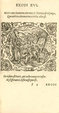 Bibliorvm vtrivsqve Testamenti icones, svmmo artificio expressae, historias sacras ad vivvm exhibentes, & oculis... vt pius Lector veré facrorum hic Emblematum thefaurum pofsit agnofcere... La première édition latine de la Bible parue en 1571 ornée de 200 superbes bois gravés de Jost Amman (1539-1591) conservée dans son vélin de l’époque.