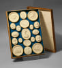 Collection de 19 reproductions d'intailles et cam&eacute;es en pl&acirc;tre repr&eacute;sentant des sujets classiques, pr&eacute;sent&eacute;s dans une boite en ch&ecirc;ne &agrave; couvercle. ...