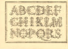 Opera di frate Vespasiano Amphiareo Da Ferrara dell’ordine minore conventuale, nella quale s’insegna scrivere varie sorti di lettere, & massime una ...