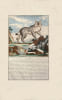 Histoire g&eacute;n&eacute;rale des Animaux, des V&eacute;g&eacute;taux et des Min&eacute;raux qui se trouvent dans le Royaume Repr&eacute;sent&eacute;s en Gravure et dessin&eacute;s d’apr&egrave;s nature […]. ...