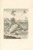 Diverses Oyseaux Dessign&eacute;es et grav&eacute;es d’Apr&egrave;s le naturel. Spectaculaire et tr&egrave;s rare suite d’ornithologie par Nicolas Robert.. ROBERT, Nicolas.