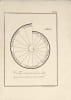Trait&eacute; des instruments astronomiques des Arabes. Compos&eacute; au treizi&egrave;me si&egrave;cle par Aboul Hhassan Ali, de Maroc, intitul&eacute; "Collection des commencements ...