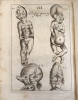 Acta medica & philosophica hafniensia. Ann. 1671 & 1672. Cum aeneis figuris.. BARTHOLIN (Thomas)