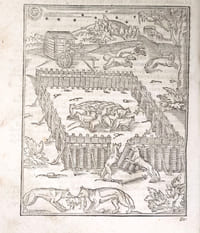 La Chasse du loup, nécessaire à la Maison rustique… En laquelle est contenue la nature des loups, & la manière de les prendre, tant par chiens, filets, pièges, qu’autres instruments : le tout enrichi de plusieurs figures et portraits représentez après le naturel.
SUIVI de : Fabrique de la jauge.