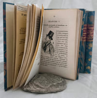 Physiologie du troupier – Physiologie de la femme – Physiologie du floueur – Physiologie de l’amant de cœur – Physiologie du provincial à Paris ; Etc.