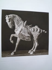 Les Arts de l'Asie - Les Animaux dans l'Art Chinois - Cinquante Planches en héliogravure et en couleurs