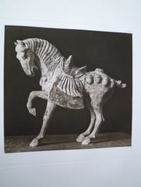 Les Arts de l'Asie - Les Animaux dans l'Art Chinois - Cinquante Planches en héliogravure et en couleurs