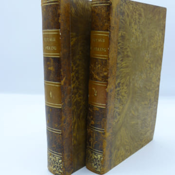 Voyage à Péking, à travers la Mongolie, en 1820 et 1821, traduit du Russe par M. N*****, revu par M. J.-B. Eyriès, publié, avec des corrections et des ...