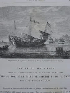 L'Archipel Malaisien, Patrie de l'orang-outan et de l'oiseau de paradis - Récits de voyage et dEtude de l'homme et de la nature.