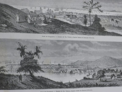 L'Archipel Malaisien, Patrie de l'orang-outan et de l'oiseau de paradis - Récits de voyage et dEtude de l'homme et de la nature.