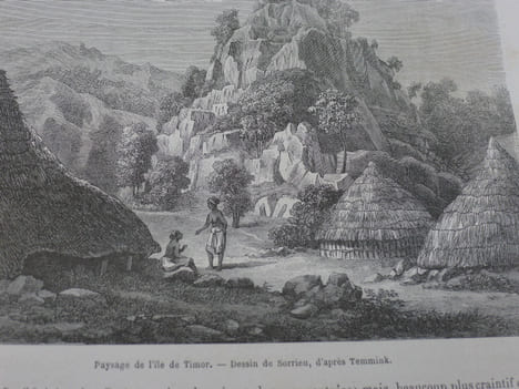 L'Archipel Malaisien, Patrie de l'orang-outan et de l'oiseau de paradis - Récits de voyage et dEtude de l'homme et de la nature.. WALLACE (Alfred ...