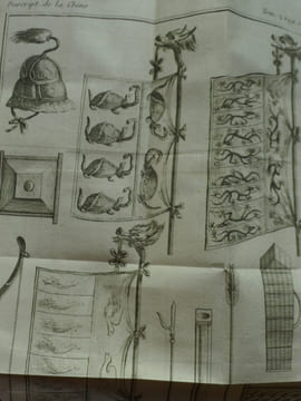 Description Générale de la Chine - Contenant: 1) Description topographique des quinze Provinces qui forment cet Empire, celle de la Tartarie, des ...