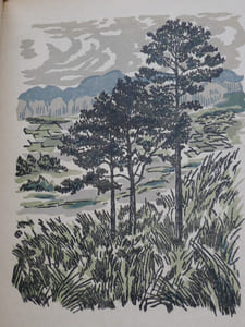 Sao Van Di