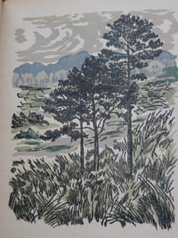 Sao Van Di
