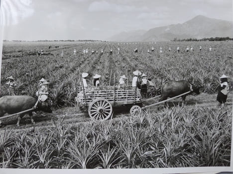 Photographs of Philippines. [PHILIPPINES] [PHOTOGRAPHS] - THOMSON (Gerald)
