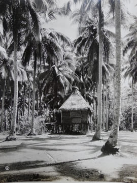 Photographs of Philippines. [PHILIPPINES] [PHOTOGRAPHS] - THOMSON (Gerald)