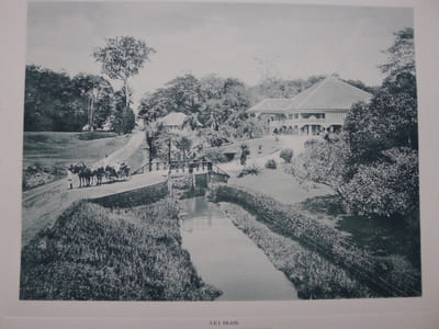 Sumatra