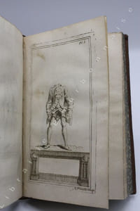 Nouvelles recherches sur les découvertes microscopiques, et la génération des corps organisés. Ouvrage traduit de l'italien de M. l'abbé Spalanzani [...] Avec des notes, des recherches physiques & métaphysiques sur la Nature & la Religion, & une nouvelle théorie de la terre. Par M. de Needham.