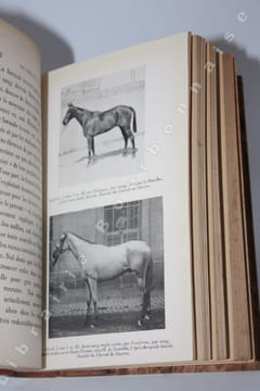 Les races chevalines françaises & anglaises. . COMMINGES (Comte Marie Aymery de).