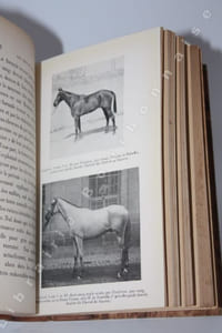 Les races chevalines françaises & anglaises.
