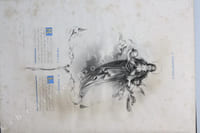 La vie de la Sainte Vierge, illustrée de dessins dans le style des vieux missels par Th. Fragonard dessinés par MM. Challamel et Mouilleron. Texte par Mme Anna Marie.Challamel, Paris, 1841
