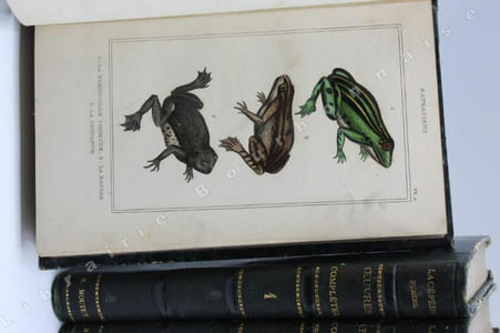 uvres du Comte de Lacépède, comprenant l'histoire naturelle des quadrupèdes ovipares, des serpents, des poissons et des cétacés accompagnées de belles gravures sur acier représentant au moins 500 animaux.
