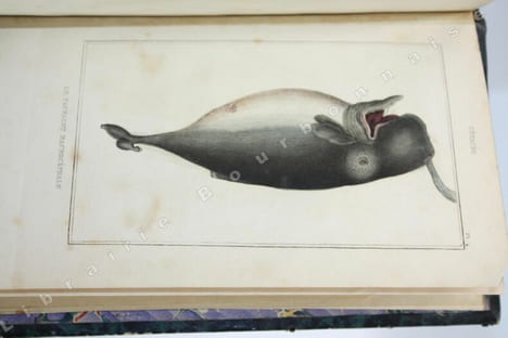 uvres du Comte de Lacépède, comprenant l'histoire naturelle des quadrupèdes ovipares, des serpents, des poissons et des cétacés accompagnées de ...