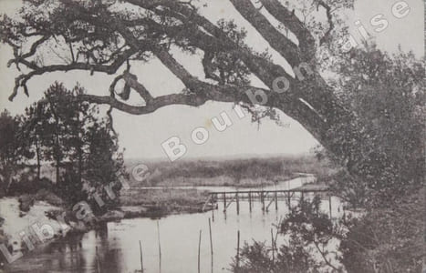 Carte postale autographe signée.