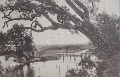 Carte postale autographe signée.