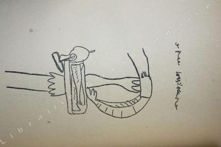 Jean Cocteau chez les sirènes. Une expérience de linguistique sur le discours de réception à l'Académie française de M. Jean Cocteau.