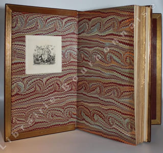 Chronique du règne de Charles IX. Illustrée de trente et une compositions dessinées et gravées à l'eau-forte par Edmond Morin.