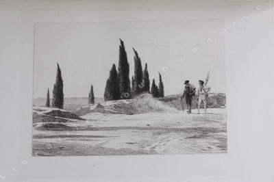 Mireille. Poème provençal. Texte et traduction, avec vingt-cinq eaux-fortes, dont 21 sont reproduites par le procédé de MM. Lumière, d'après les planches dessinées et gravées par Eugène Burnand, et 55 dessins du même artiste tirés avec le texte.
