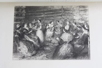 Mireille. Poème provençal. Texte et traduction, avec vingt-cinq eaux-fortes, dont 21 sont reproduites par le procédé de MM. Lumière, d'après les planches dessinées et gravées par Eugène Burnand, et 55 dessins du même artiste tirés avec le texte.