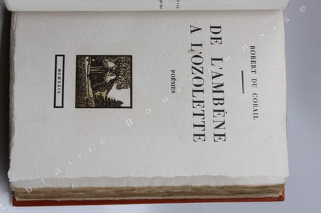 De l'Ambène à l'Ozolette. Poésies.