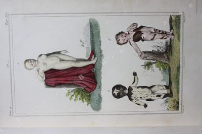 Oeuvres complètes. [Recueil de planches en couleurs pour les mammifères]. 