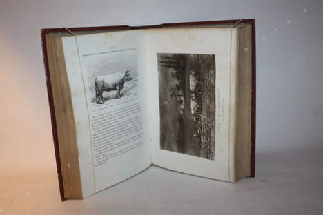 Les Primes d'Honneur et les Médailles de Spécialités et les Prix d'Honneur des Fermes-Écoles décernées dans les Concours Régionaux en 1869.. ...