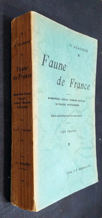 Faune de France - Mammifère, oiseaux, poissons, reptiles, batraciens, protochordes.
1124 figures.