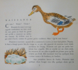 Plouf canard sauvage. Lida et Rojan (illustrations)