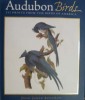 Audubon Birds 252 Prints from the Birds of America. David Reinhardt.

