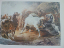 Dessins et aquarelles de chevaux.
. Géricault 