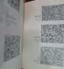 L'œuvre gravé 1969-2002. Catalogue raisonné + Supplément
. Jan Peter Thorbecke 