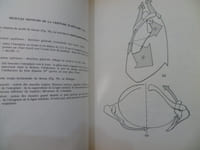 Physiologie Articulaire.