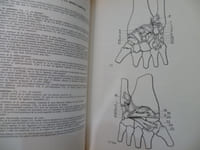 Physiologie Articulaire.
