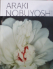 Rétrospective.
. Araki Nobuyoshi :