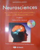 Neurosciences.. Dale Purves, George J. Augustine, David Fitzpatrick, William C. Hall : 

