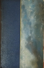 Le semeur de cendres. Charles Guérin