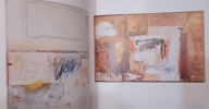 Combines. Robert Rauschenberg